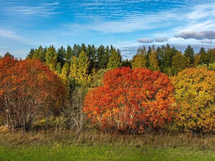 Ноябрь начался с рекордного тепла в Петрозаводске