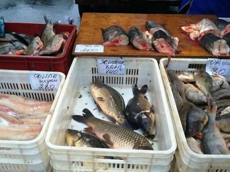 В Саратовской области за год сильнее всего подорожала рыба, чай и сыр