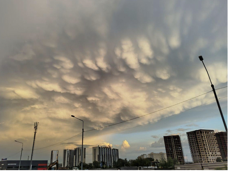 В Новосибирске прогнозируют аномальную зиму с резкими перепадами температур