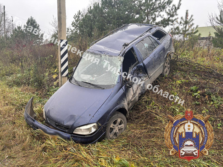 В День народного единства туляк на Opel слетел в кювет и попал в больницу