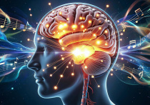 Движения и звук тесно переплетаются в нашем мозге. Исследователи междисциплинарной научно-образовательной школы «Мозг, когнитивные системы, искусственный интеллект» МГУ показали, как именно формируется эта связь в специальном исследовании. Его результаты опубликованы в журнале PLOS One.
