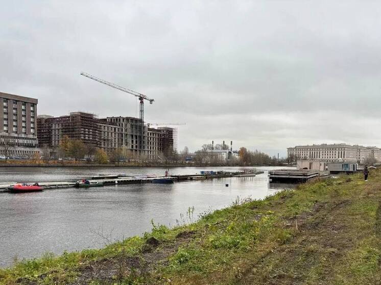 Все незаконные объекты вывезли с территории Галерной Гавани в Петербурге