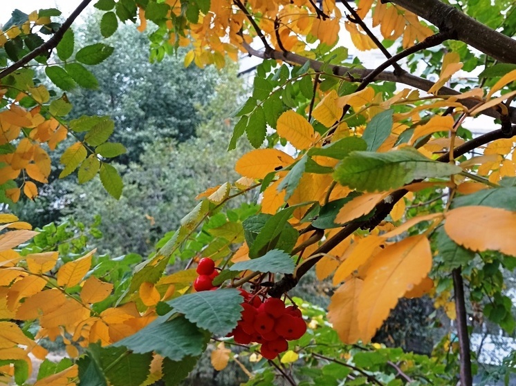 Сила магнитной бури 6 ноября составит 5 баллов: подходящий период для перевода любовных отношений на новый уровень