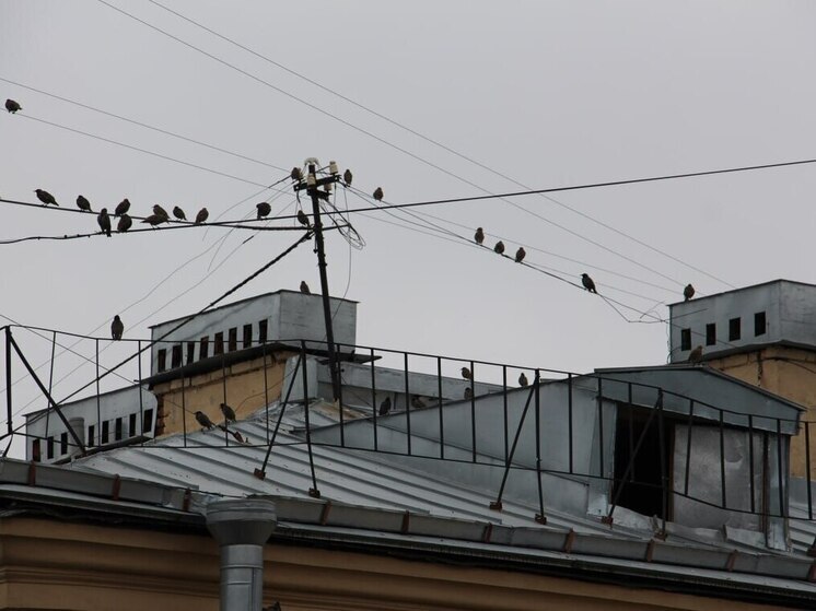 Многие люди жалуются на соседей, не желающих соблюдать правила общего житья