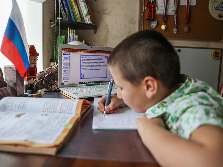 В Госдуме предложили пересмотреть систему выполнения домашних заданий