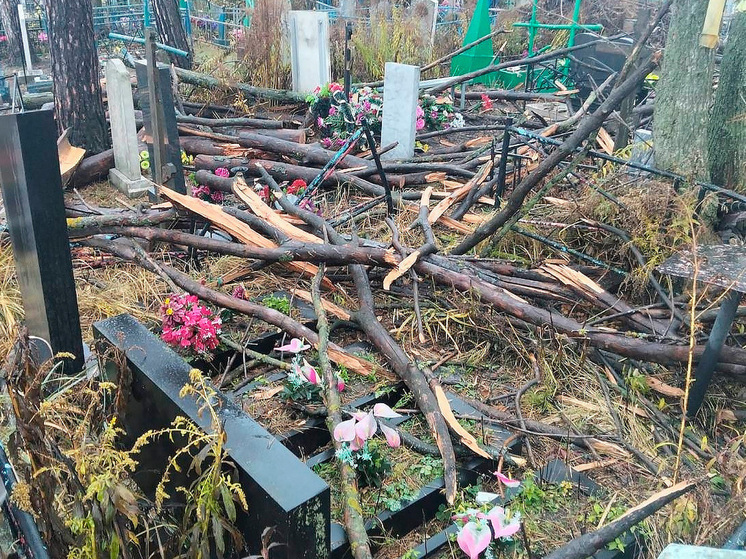 Опиловка дерева привела к повреждению могил в Липецкой области