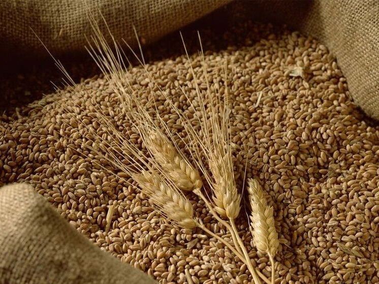 У тульского ЗАО «Победитель» нашли 15,5 тысяч тонн сомнительного зерна