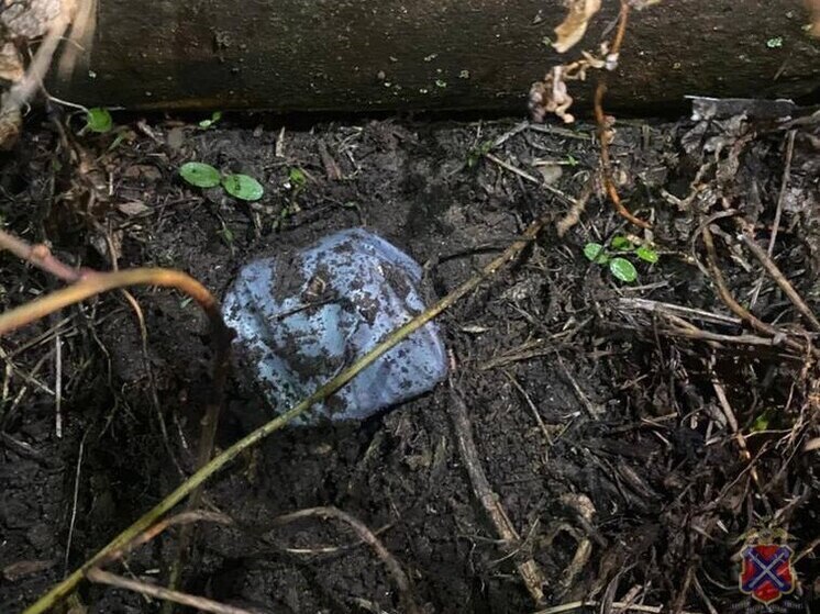  28-летнему волгоградцу грозит до 20 лет тюрьмы за сбыт наркотиков