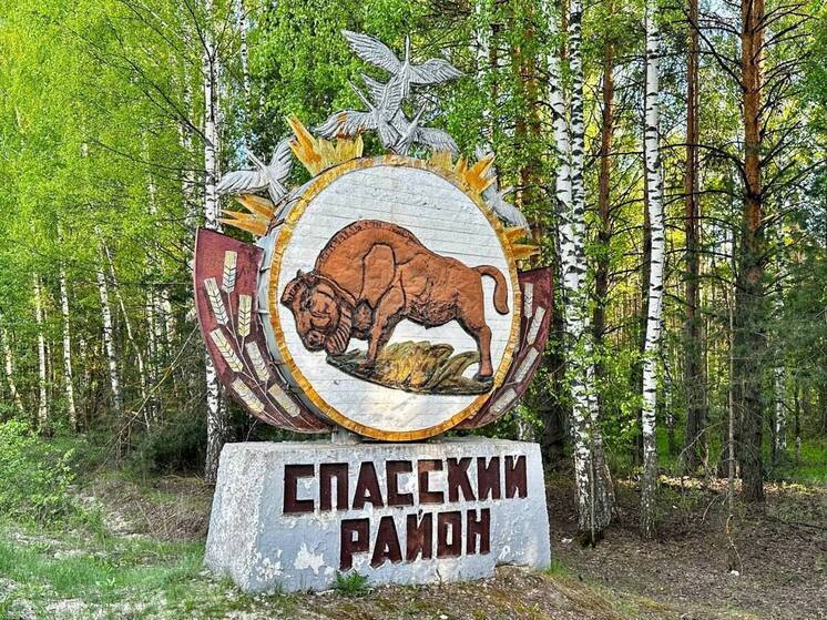 В Спасском районе 6 ноября временно закроют наплавной мост через Оку