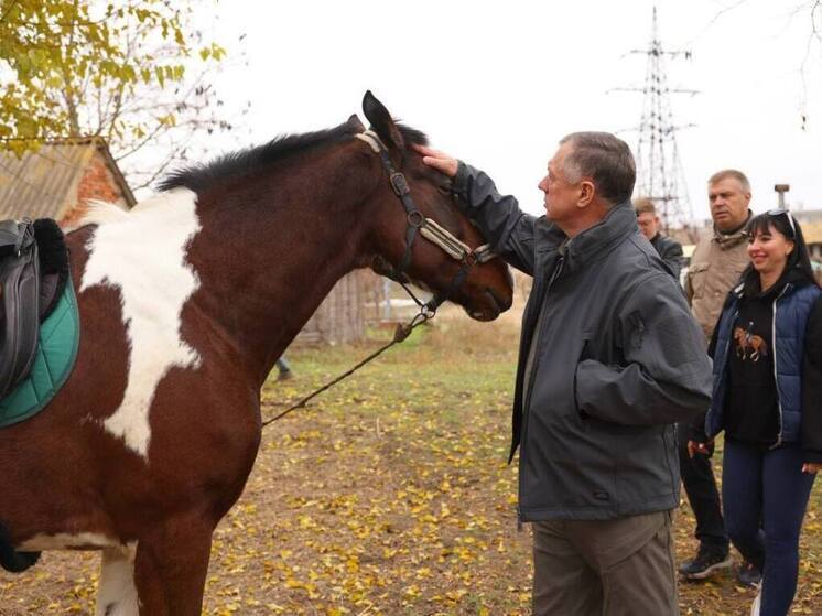 В Мелитополе планируется создать современный центр иппотерапии и конного спорта