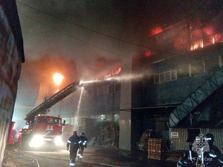 Для тушения масштабного пожара в центре Ростова привлекли пожарный поезд и катер