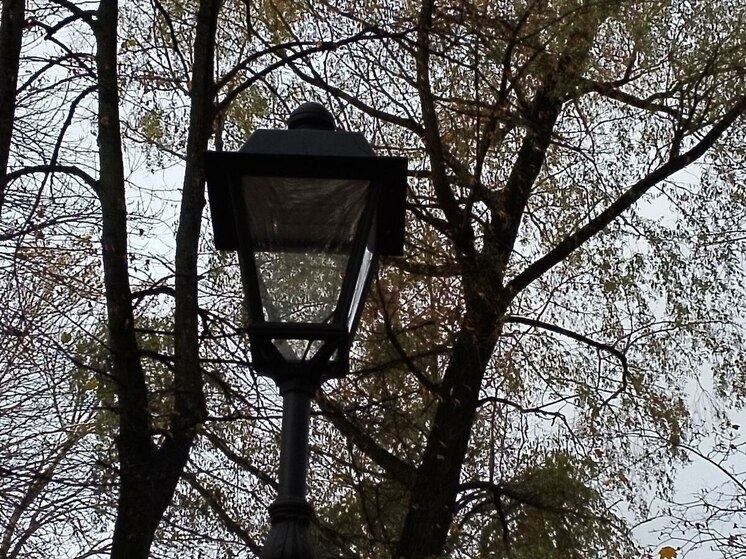 В Ленобласти 6 ноября будет дождливо и тепло