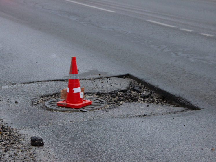 Бастрыкин поручил проверить жалобу из Тульской области об убитой дороге