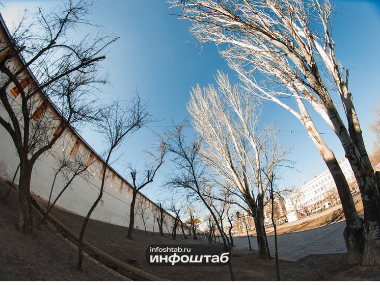 Из Астрахани в Иран экспортировали 6,1 тысячи тонн кормового ячменя