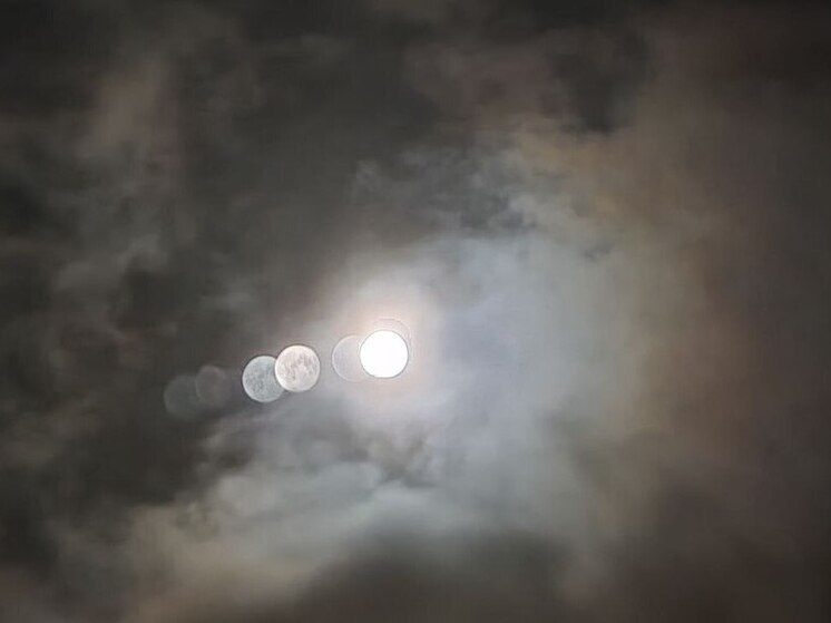 Над Петербургом взошла Бобровая Луна