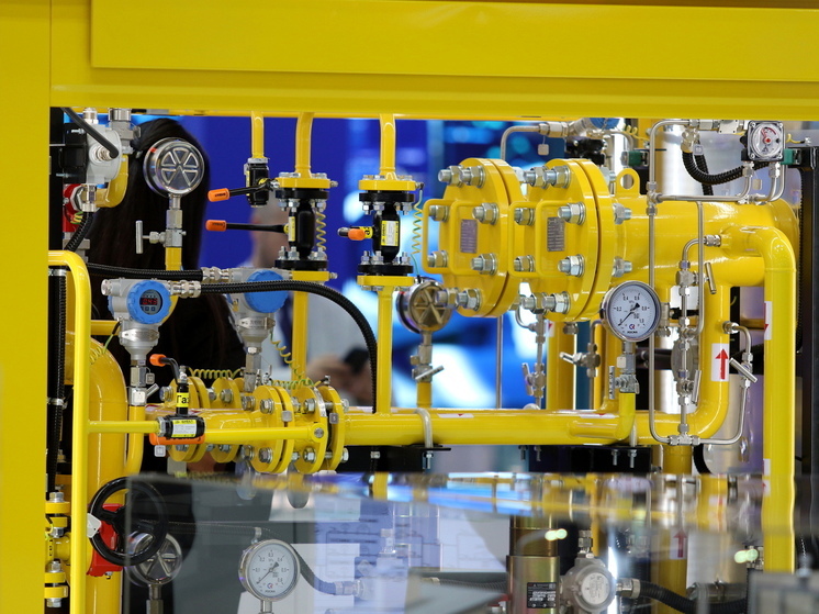 Глава Польши предложил главе Словакии получать газ из США по польским трубам