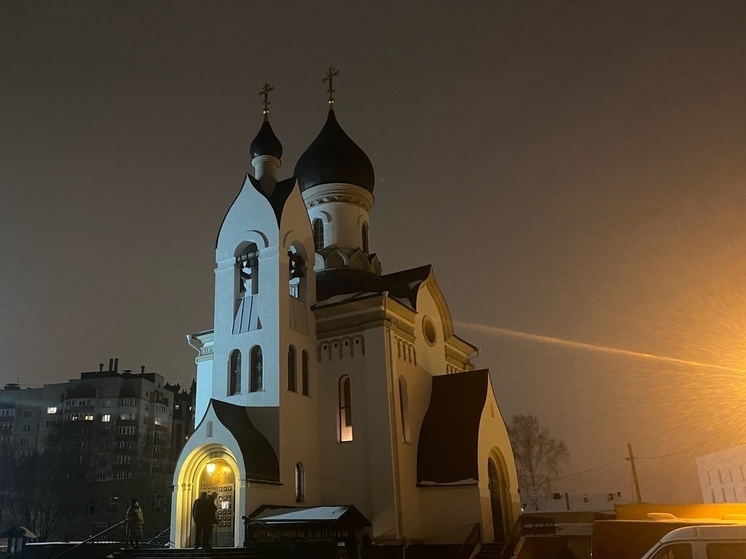 6 ноября православные верующие чествуют икону Божьей Матери «Всех скорбящих Радость»