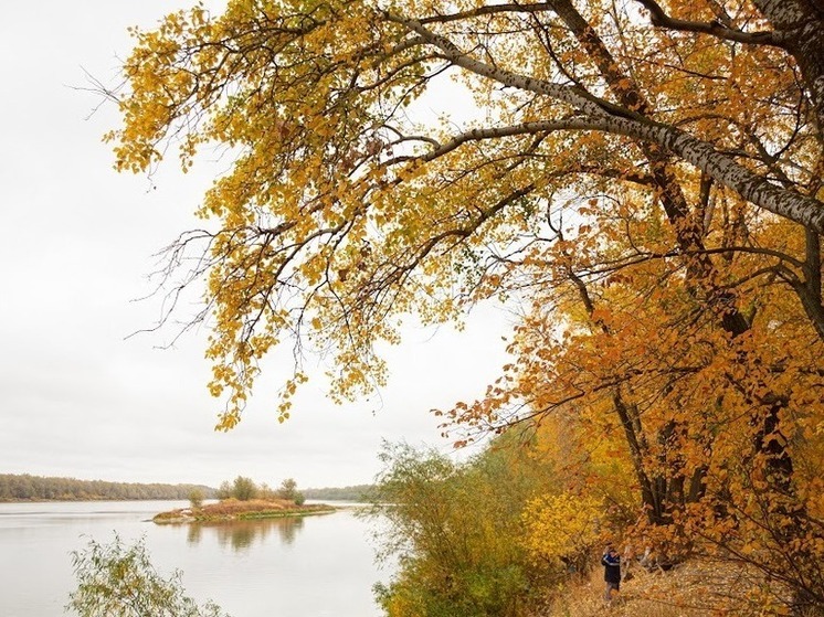  В Астраханской области 6 ноября днем потеплеет до +15 градусов