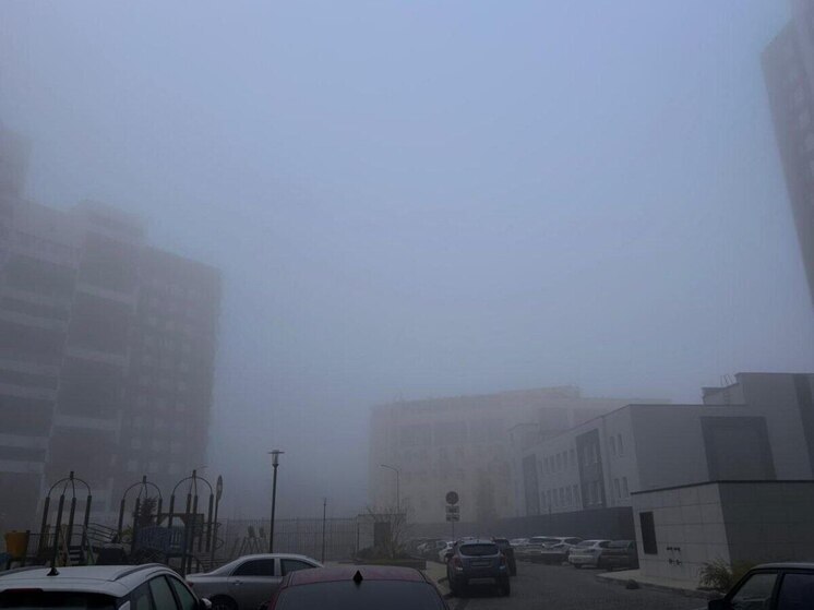 Воронежцам сообщили о «бодрящем» четверге с туманом