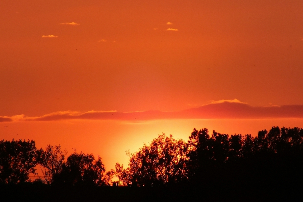 Изображение: Victor Lisitsyn /Global Look Press