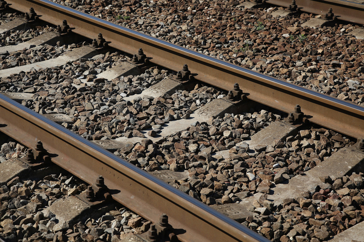 Фото Лилия Шарловская