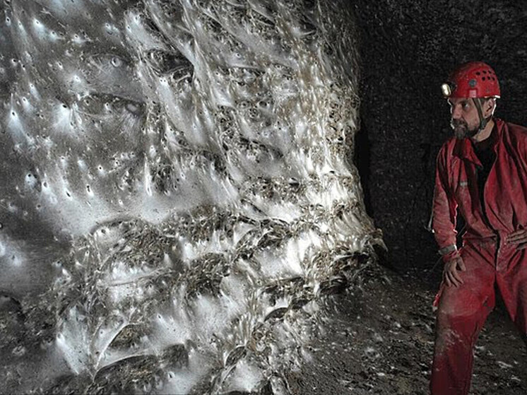 В пещере на Балканах нашли паутину площадью 106 кв.м.