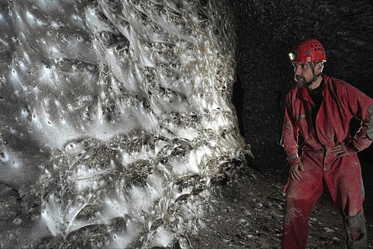 Найдена самая большая в мире паутина