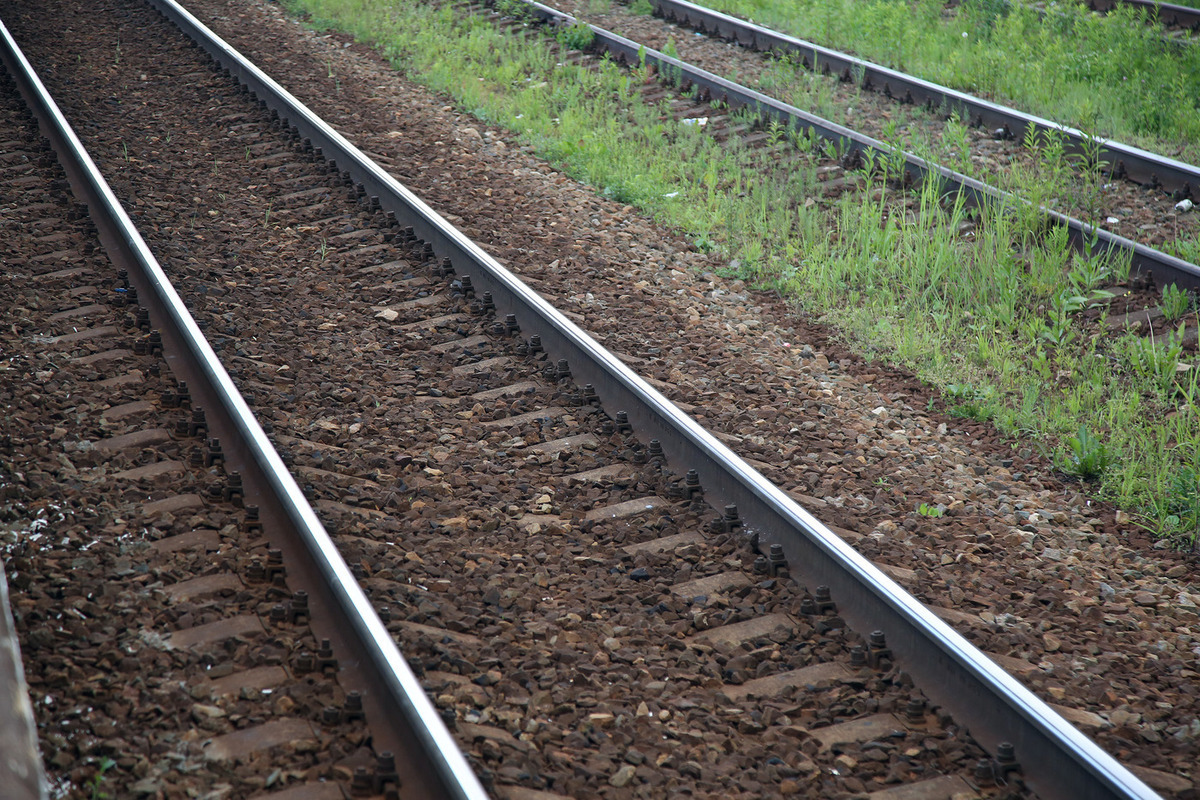 Фото Лилия Шарловская