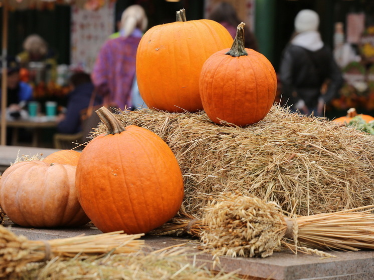 Вильфанд: температура в Москве на это неделе напоминает апрельскую