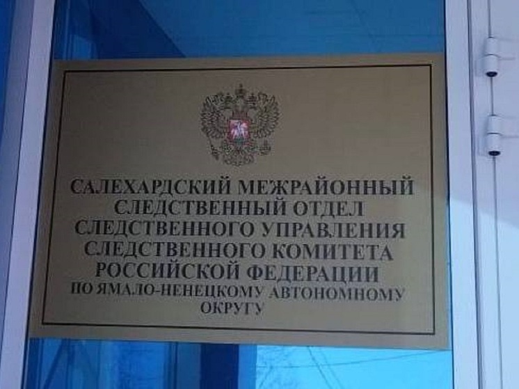 В Горках школьник в лесу на снегокате врезался в дерево и едва не погиб