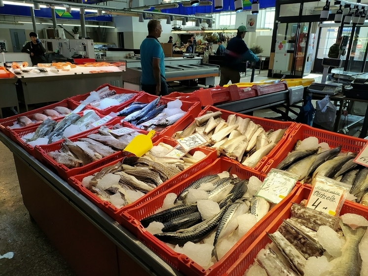 С января по сентябрь 2025 года Россия увеличила импорт рыбы из Южной Кореи на 50%