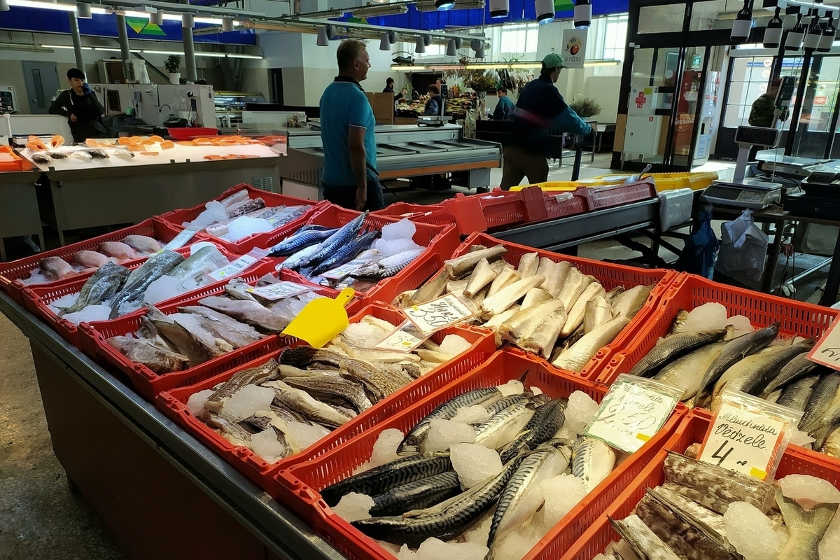 Стало известно о росте импорта рыбы из Южной Кореи