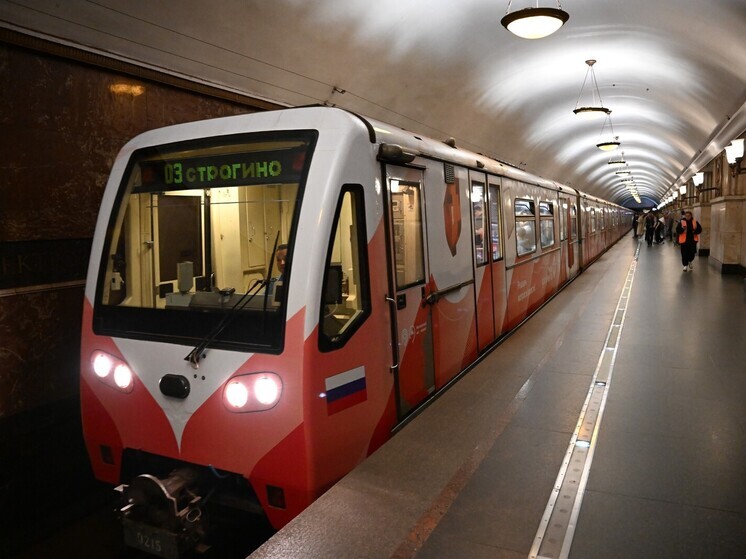 Метро Москвы отсудило убытки у пьяного пассажира, спустившегося на пути