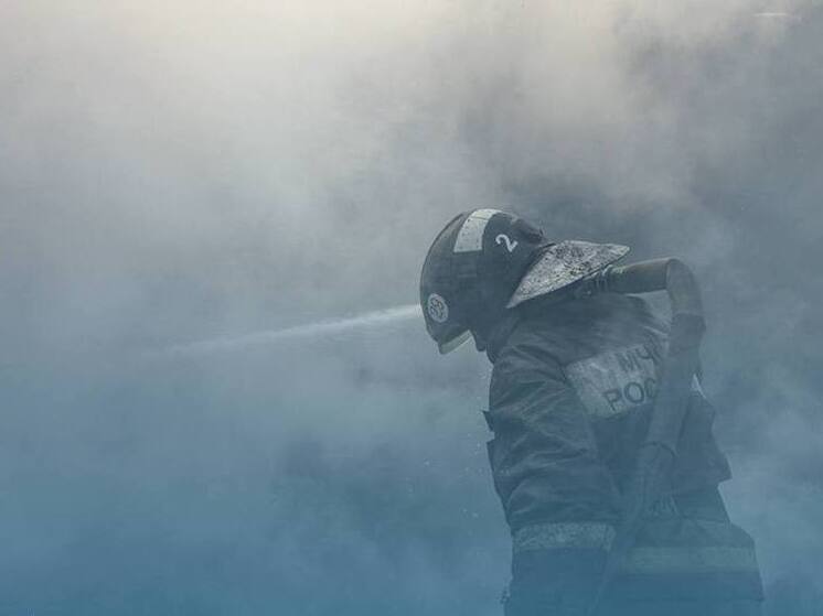 Крупный пожар в Бердске Новосибирской области — горит производственное здание