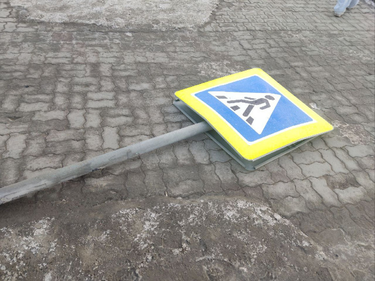 В Барнауле ищут водителя, который сбил ребенка на «зебре» и скрылся с места ДТП