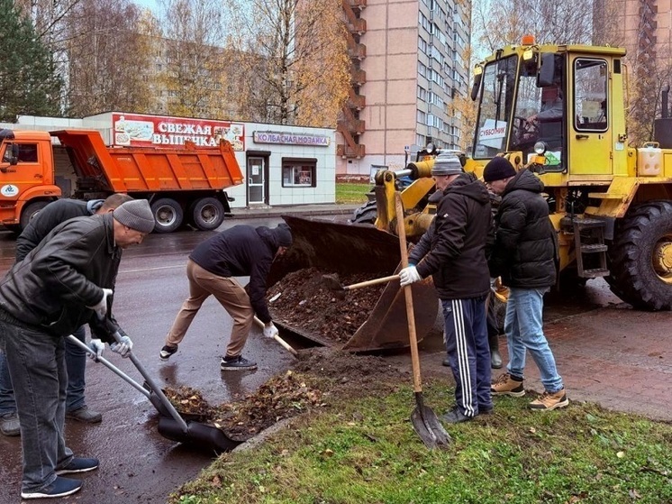 Смоленские атомщики и жители Десногорска объединились для масштабной уборки города