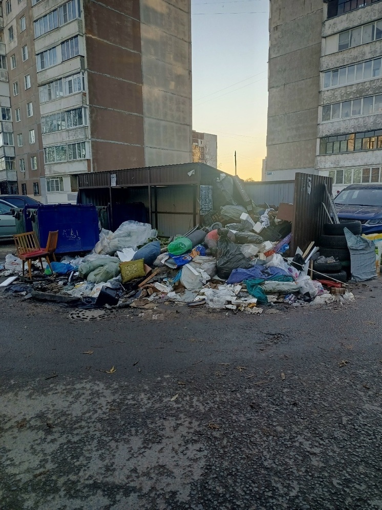 В Ярославле накажут тех, кто кидает мусор мимо контейнеров