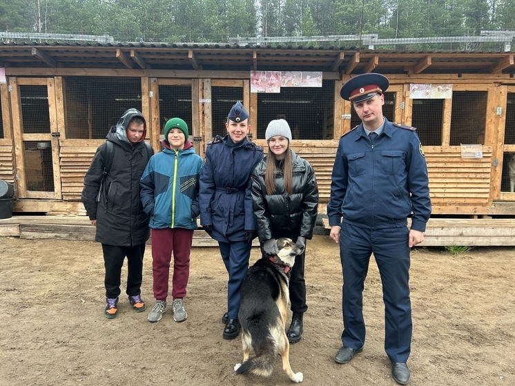 В День народного единства сотрудники УФСИН Карелии покормили бездомных собак