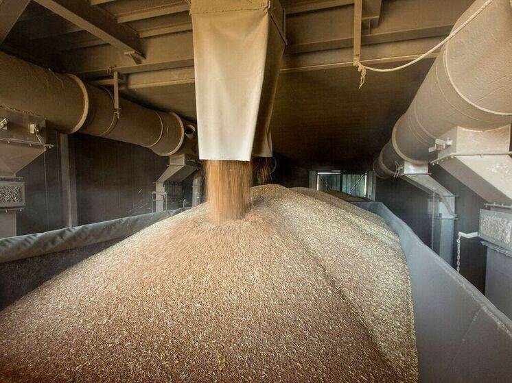 Нарушения при хранении зерна выявили на предприятии в Ивановской области