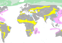 Согласно новой оценке, у мира все еще остается шанс избежать наихудших последствий изменения климата и вернуться к цели в 1,5 градуса по Цельсию, если правительства предпримут согласованные действия по сокращению выбросов парниковых газов