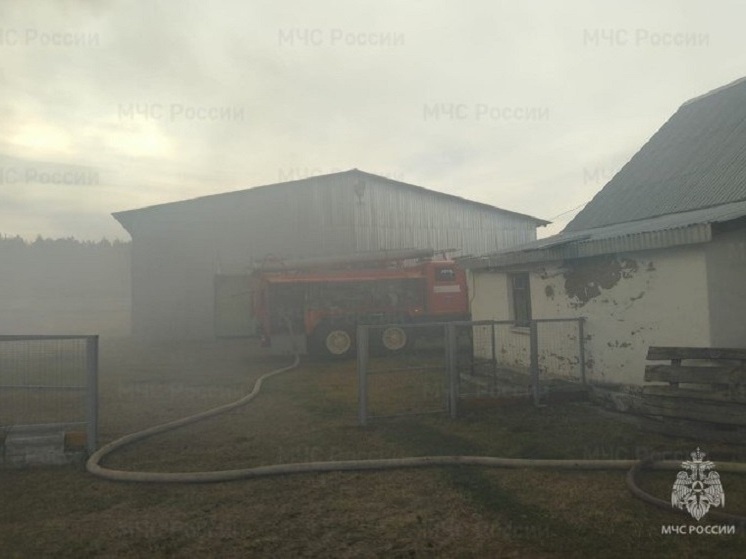 В МЧС напомнили, сколько пожаров произошло из-за использования печей и обогревателей