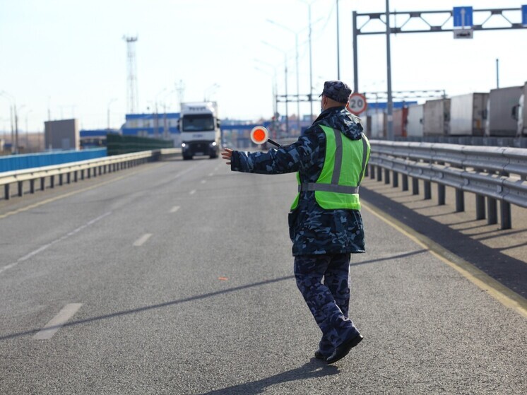 На Южный Урал из-за нарушений в маркировке не пустили 20,8 тонн винограда