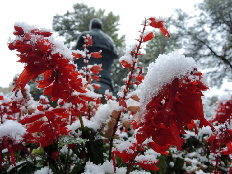 Тишковец: в Москве столбики термометров на следующей неделе устремятся к нулю