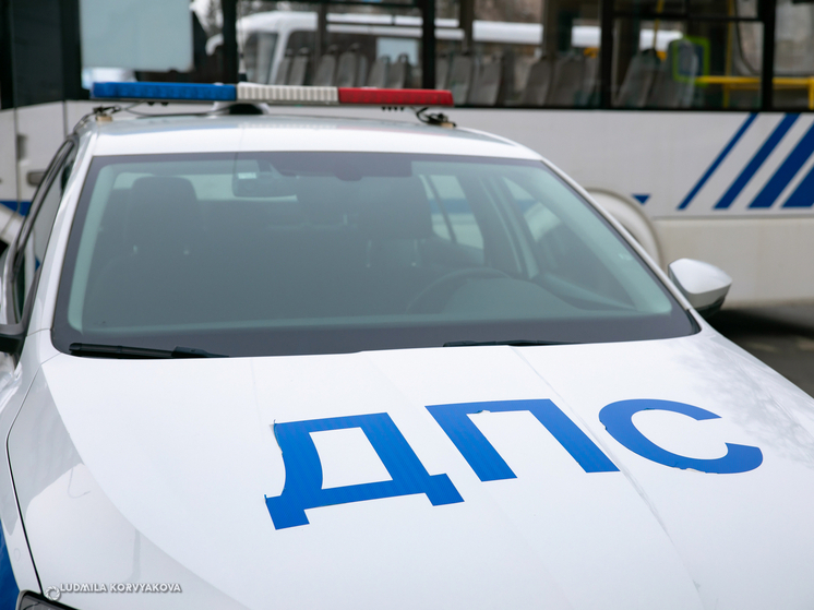 Полицейские в Карелии проведут проверку пешеходов-нарушителей