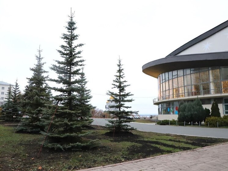 В Самаре высадили новые деревья и кустарники в рамках осеннего озеленения