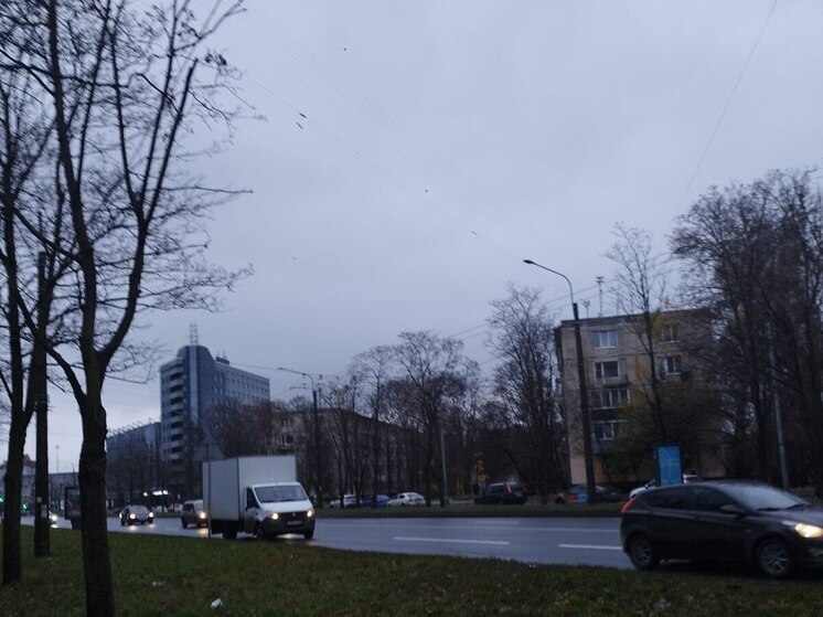 Ночь в Петербурге побила температурный рекорд 1930 года