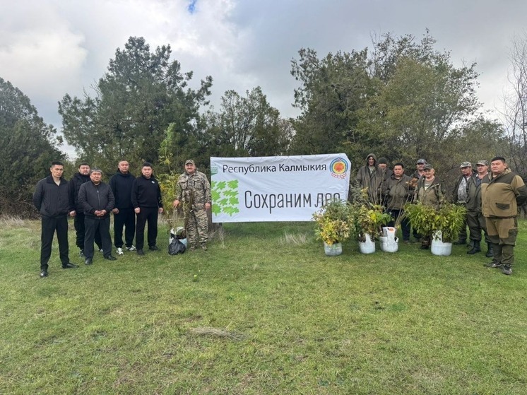Калмыкия приняла участие во всероссийской акции «Сохраним лес»