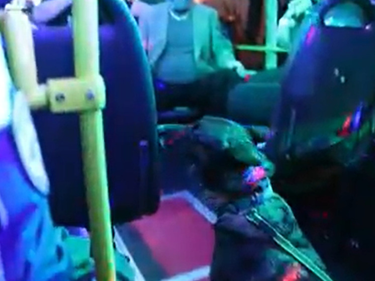 В центре Петербурга полицейские нагрянули на автобусную вечеринку