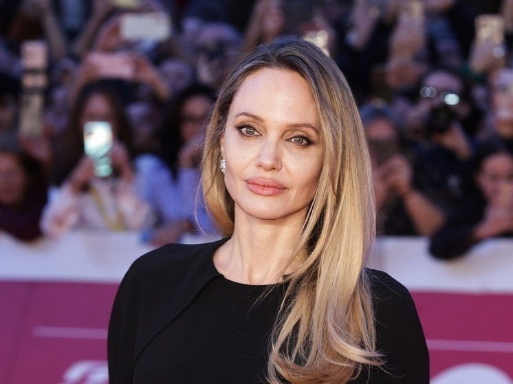 Депутат Попов: визит Джоли в Херсон не поможет ВСУ в Красноармейске и Купянске