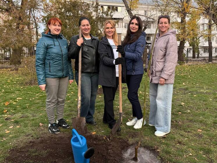 Активисты высадили деревья в Северодонецке в рамках восстановления экологии Донбасса